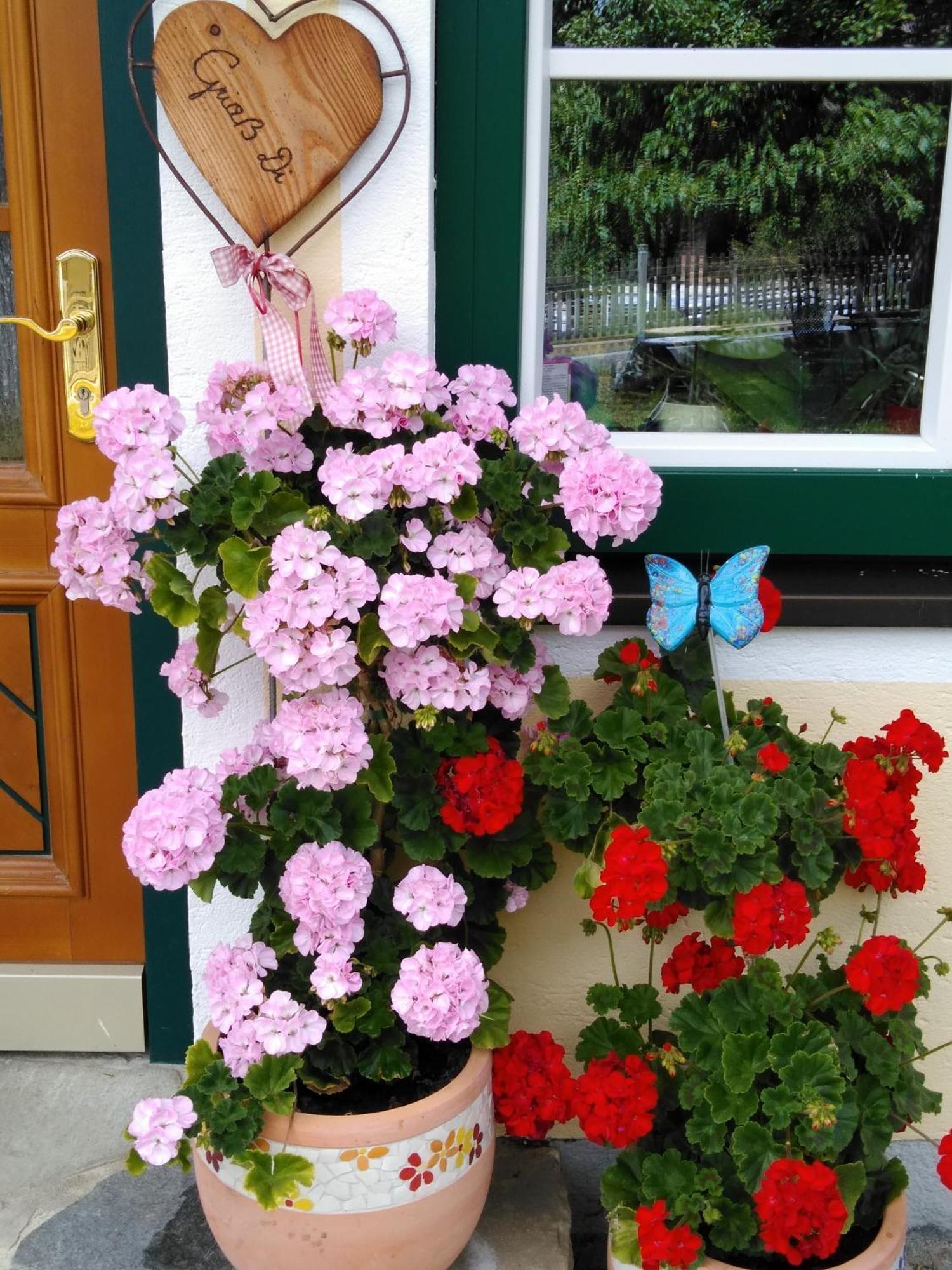 האוס Linarhof Apartment Urlaub Am Bio Bauernhof מראה חיצוני תמונה