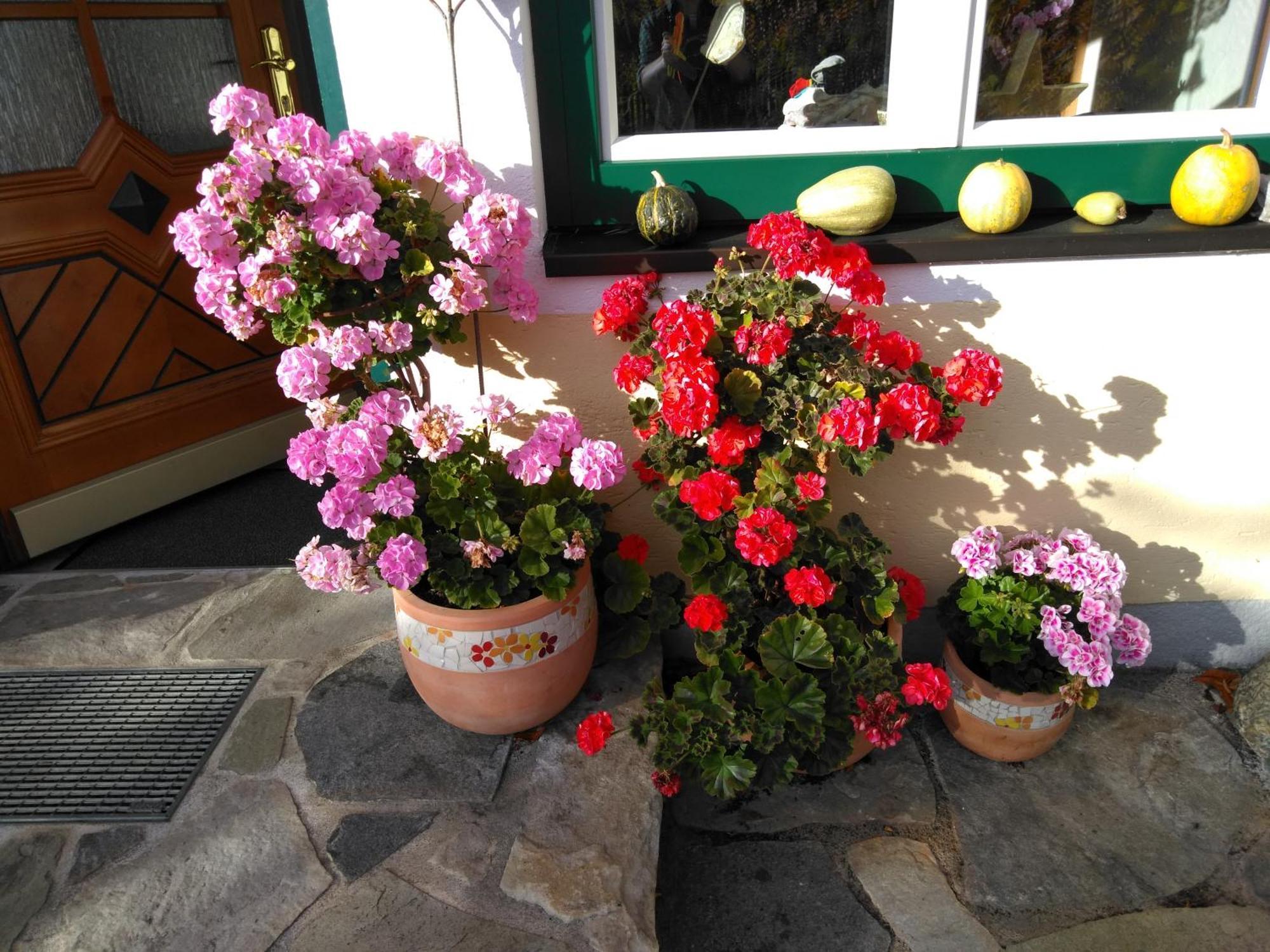 האוס Linarhof Apartment Urlaub Am Bio Bauernhof מראה חיצוני תמונה